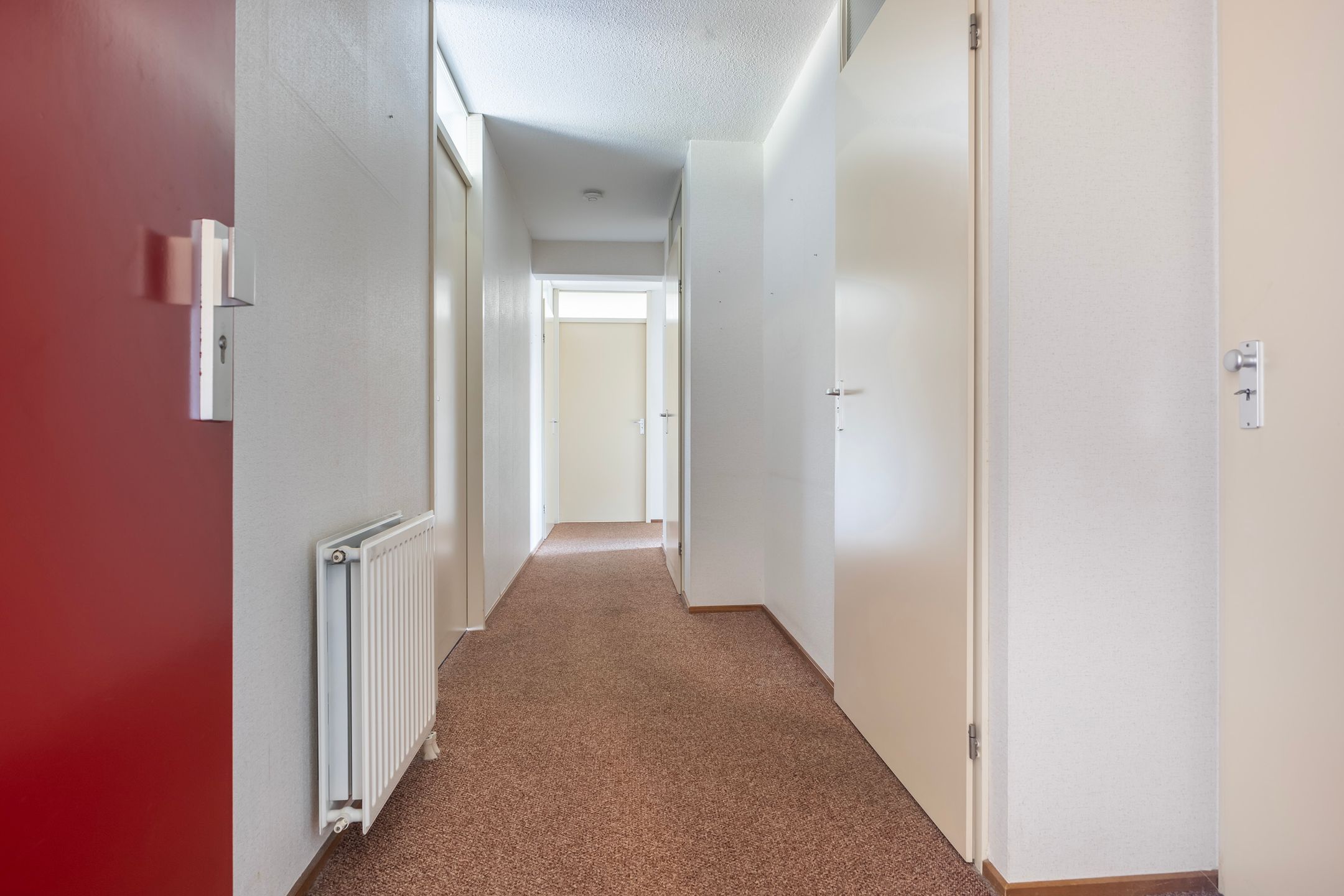 Photo 36 of Smeetsmastins 12