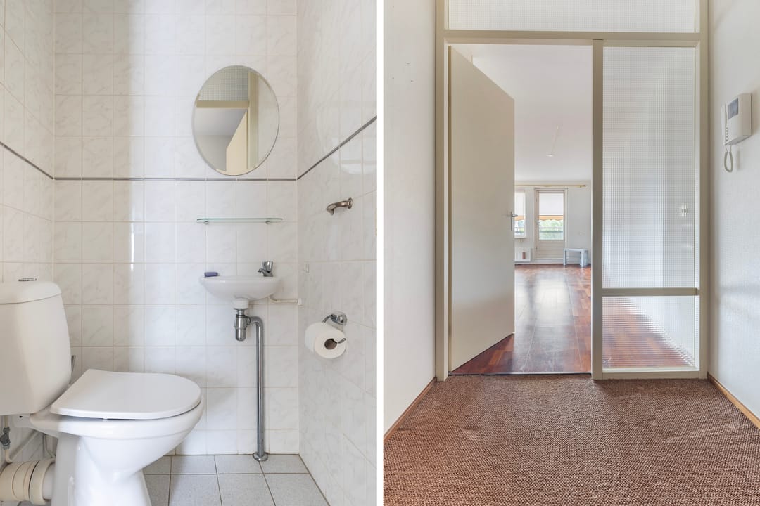 Photo 37 of Smeetsmastins 12