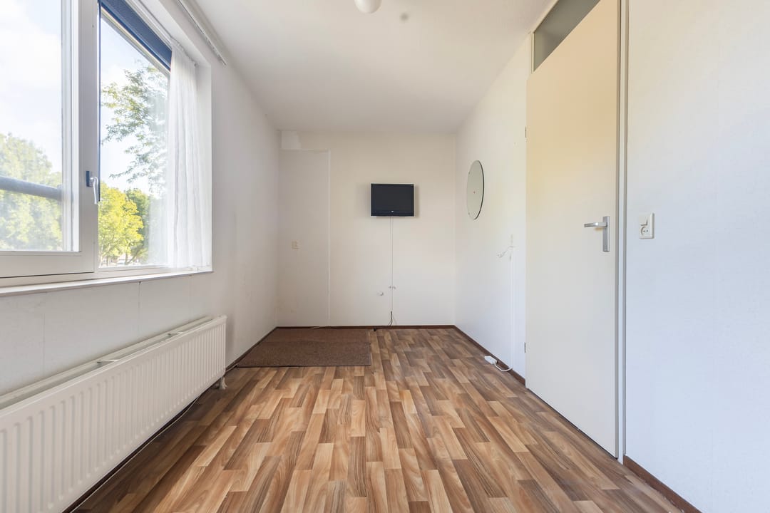 Photo 38 of Smeetsmastins 12