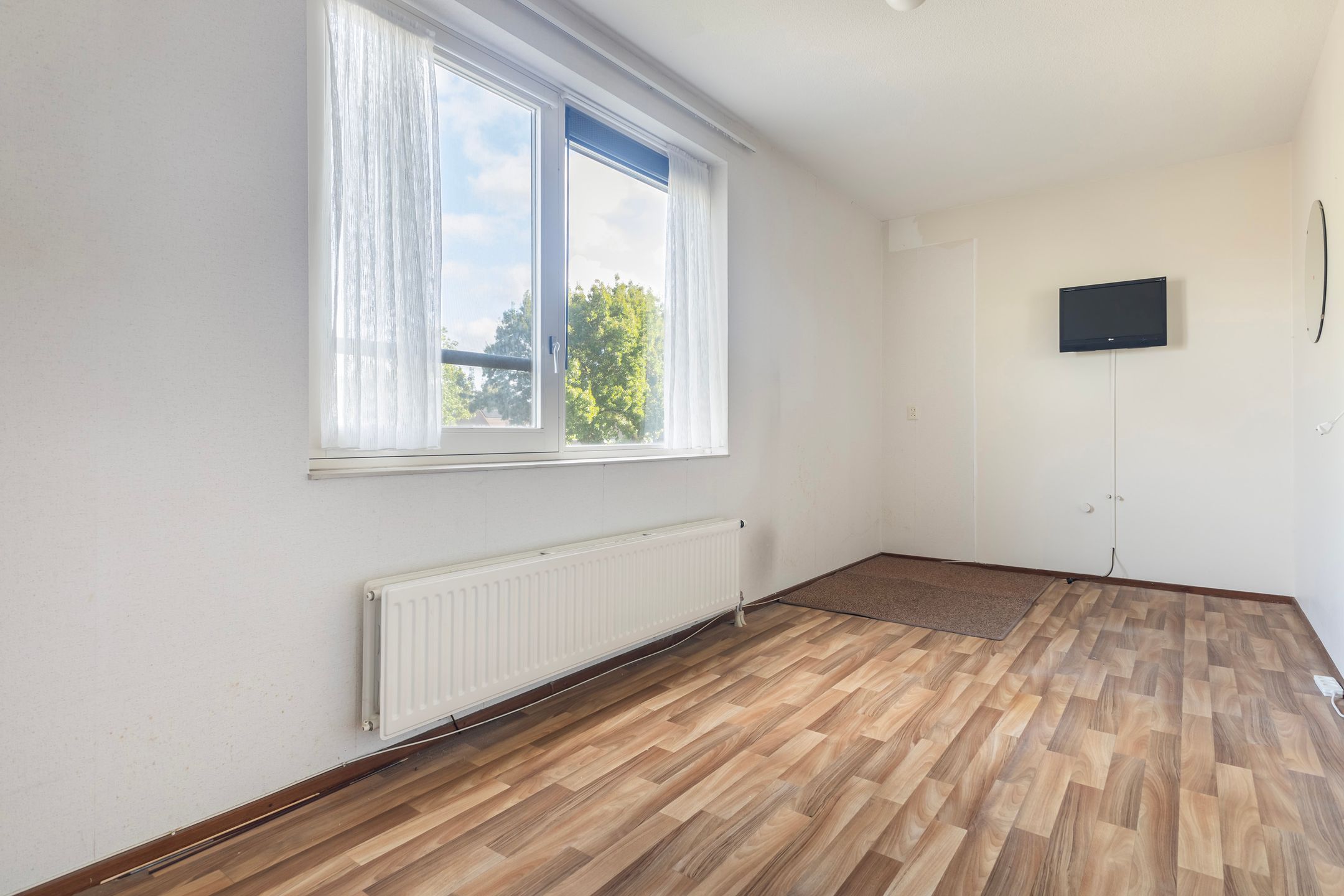 Photo 39 of Smeetsmastins 12