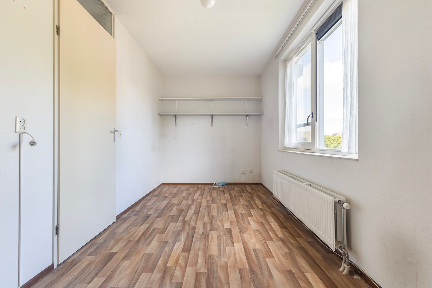 Photo 40 of Smeetsmastins 12