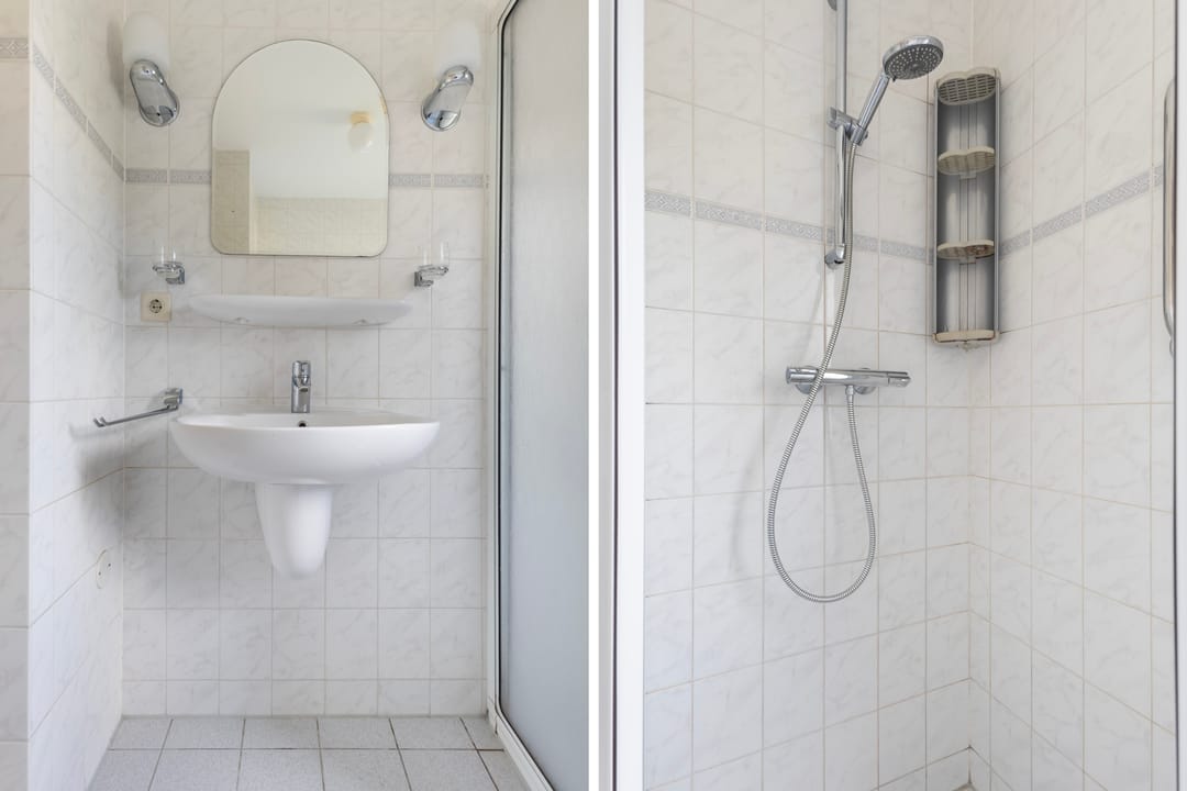 Photo 41 of Smeetsmastins 12