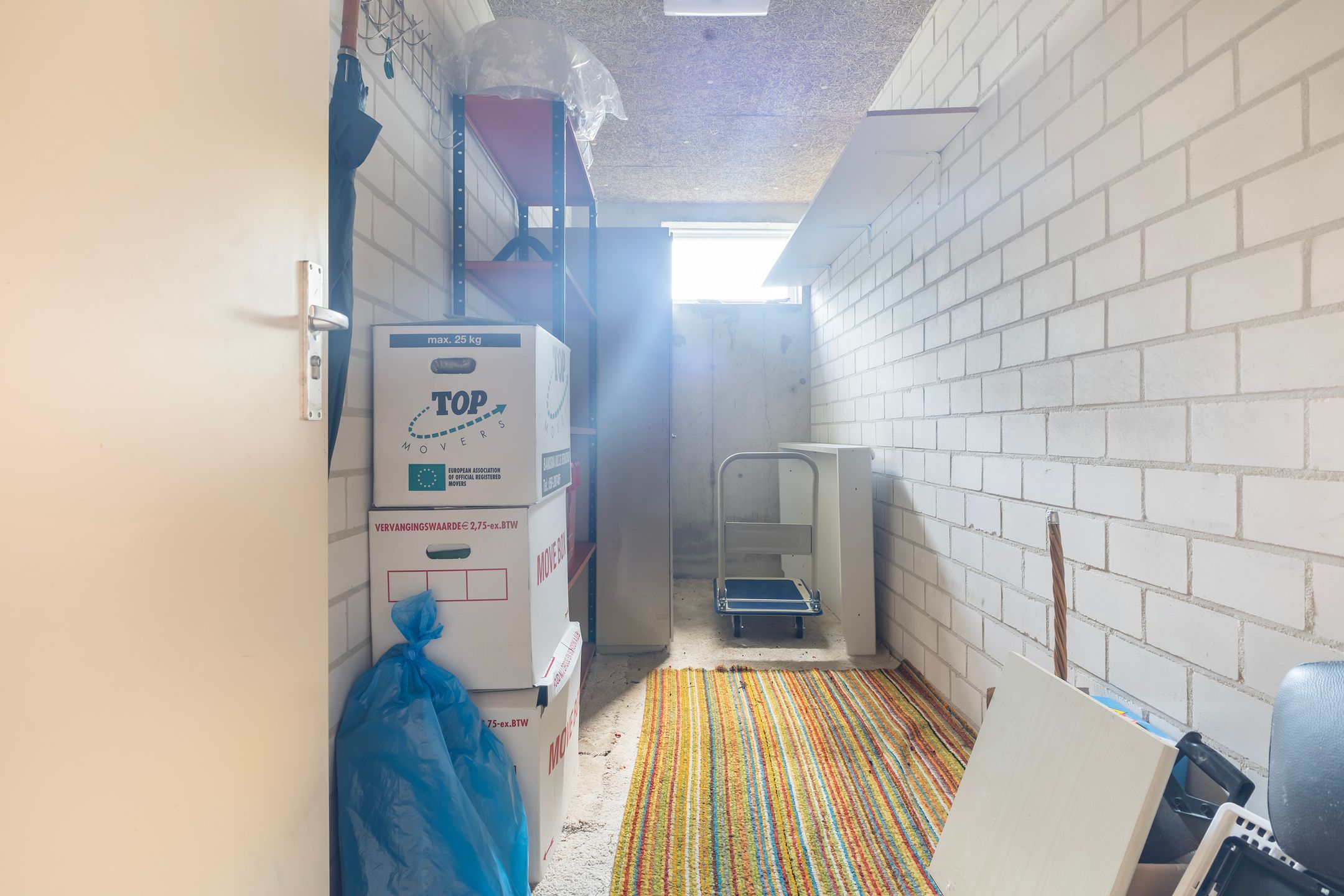 Photo 42 of Smeetsmastins 12