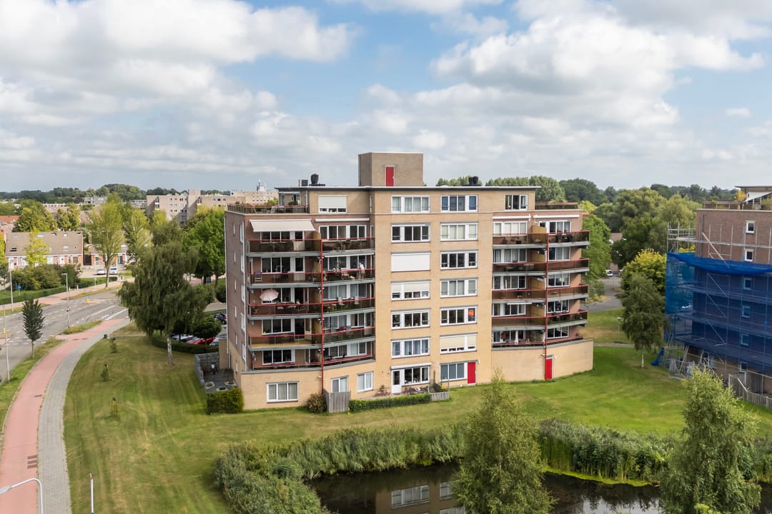 Photo 43 of Smeetsmastins 12