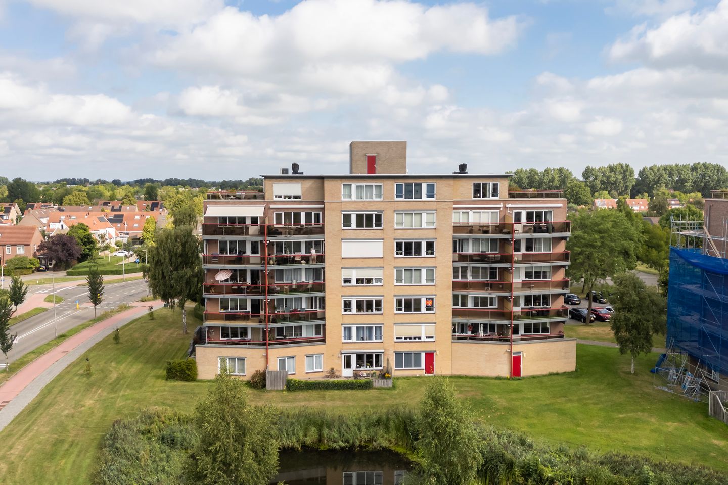 Photo 44 of Smeetsmastins 12