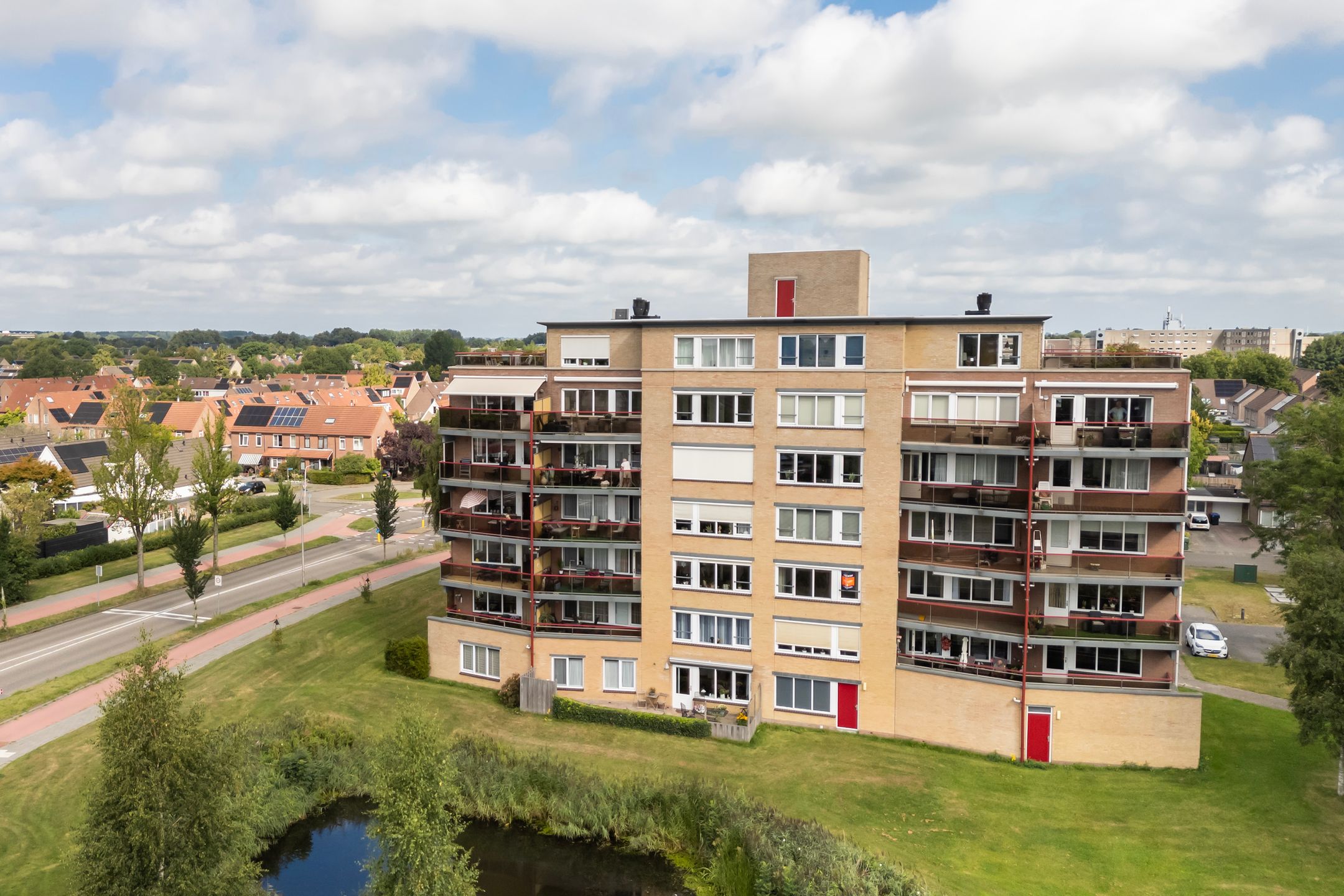 Photo 45 of Smeetsmastins 12