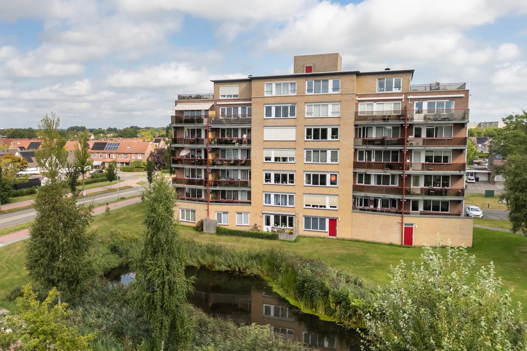 Photo 46 of Smeetsmastins 12