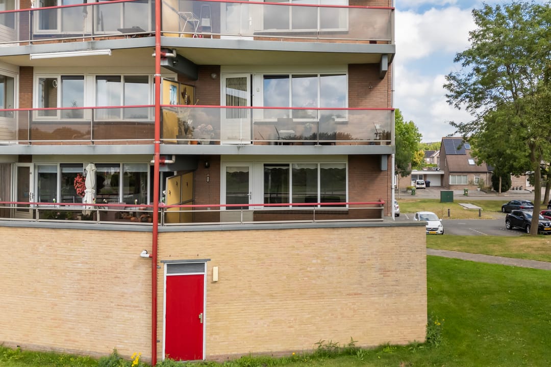 Photo 47 of Smeetsmastins 12