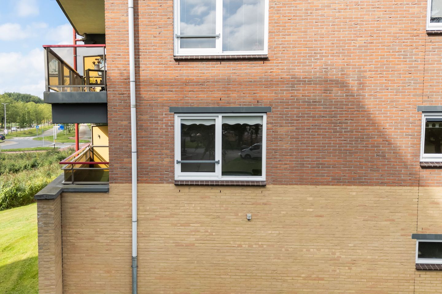 Photo 49 of Smeetsmastins 12