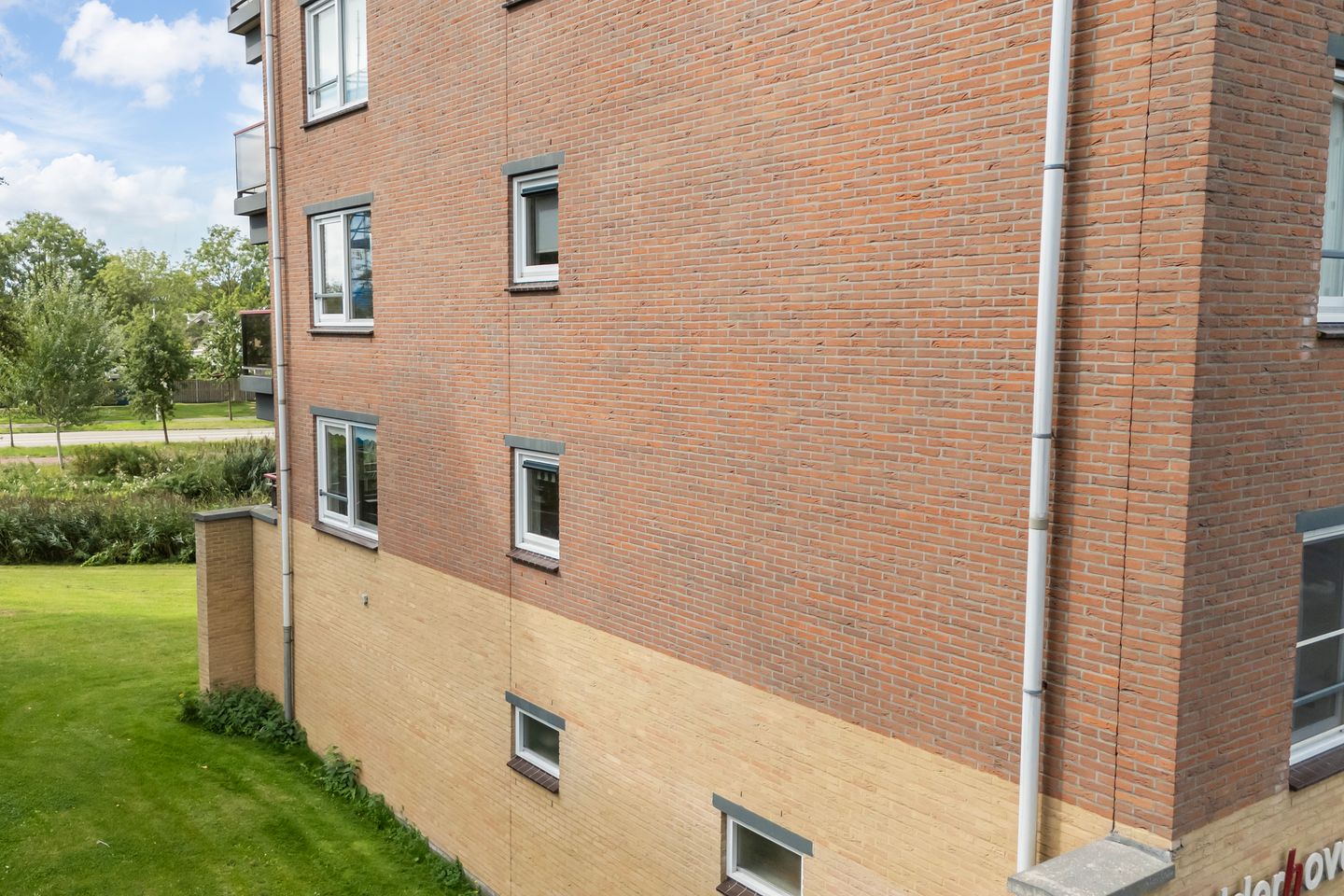 Photo 50 of Smeetsmastins 12