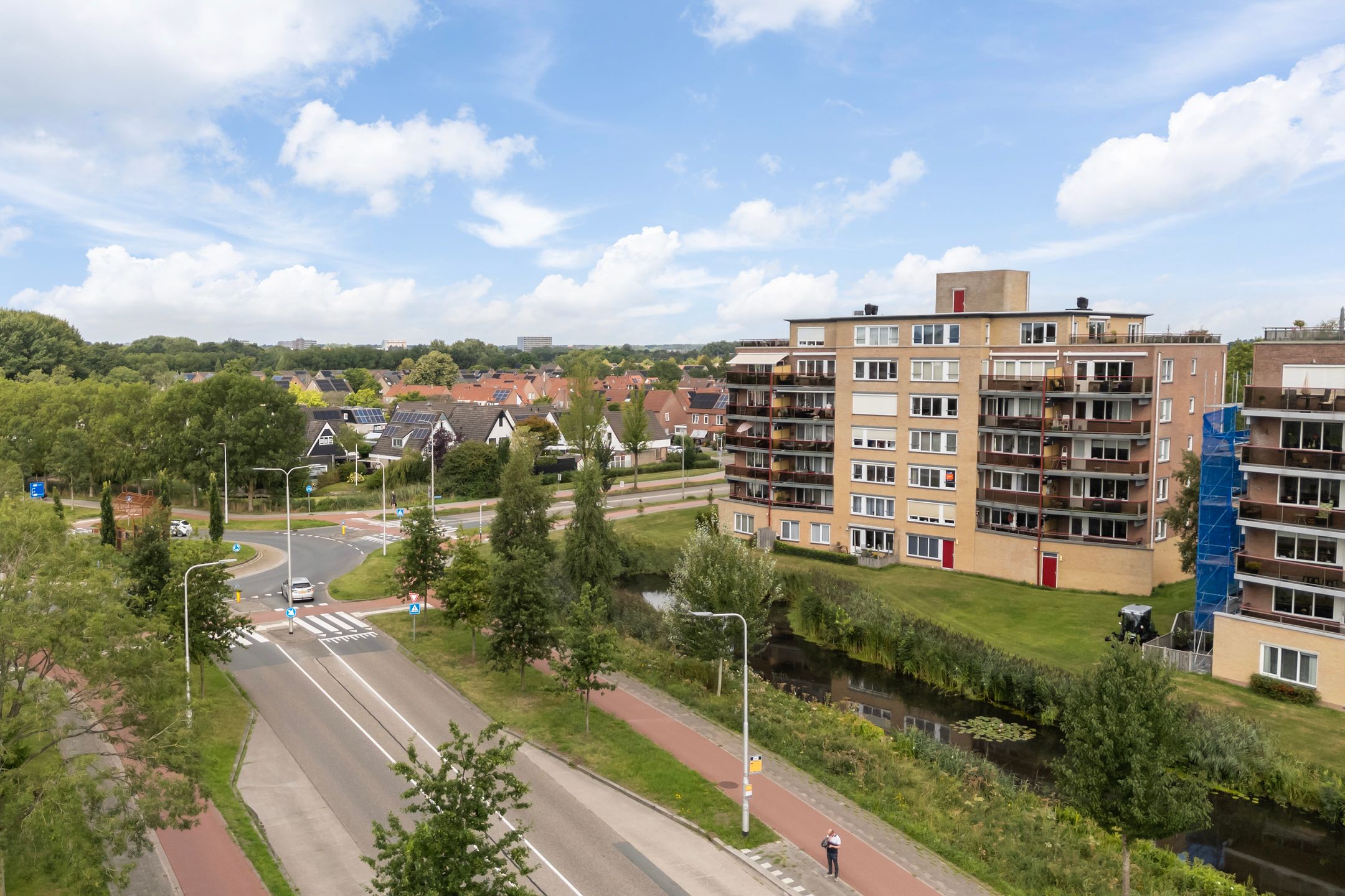 Photo 51 of Smeetsmastins 12