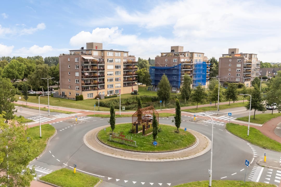 Photo 52 of Smeetsmastins 12