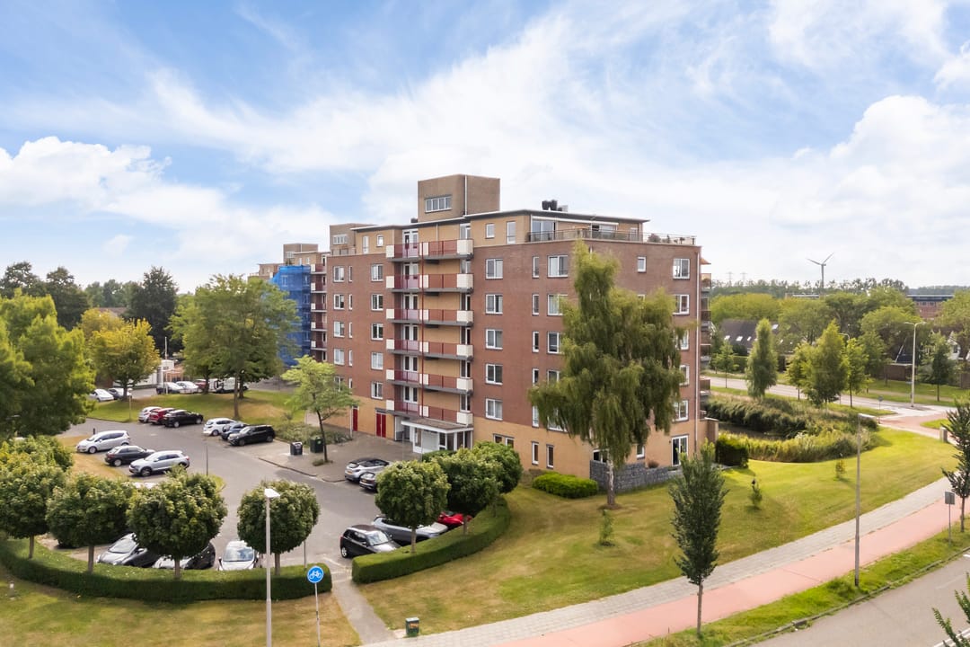 Photo 53 of Smeetsmastins 12