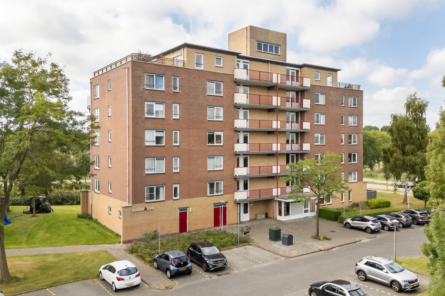 Photo 55 of Smeetsmastins 12