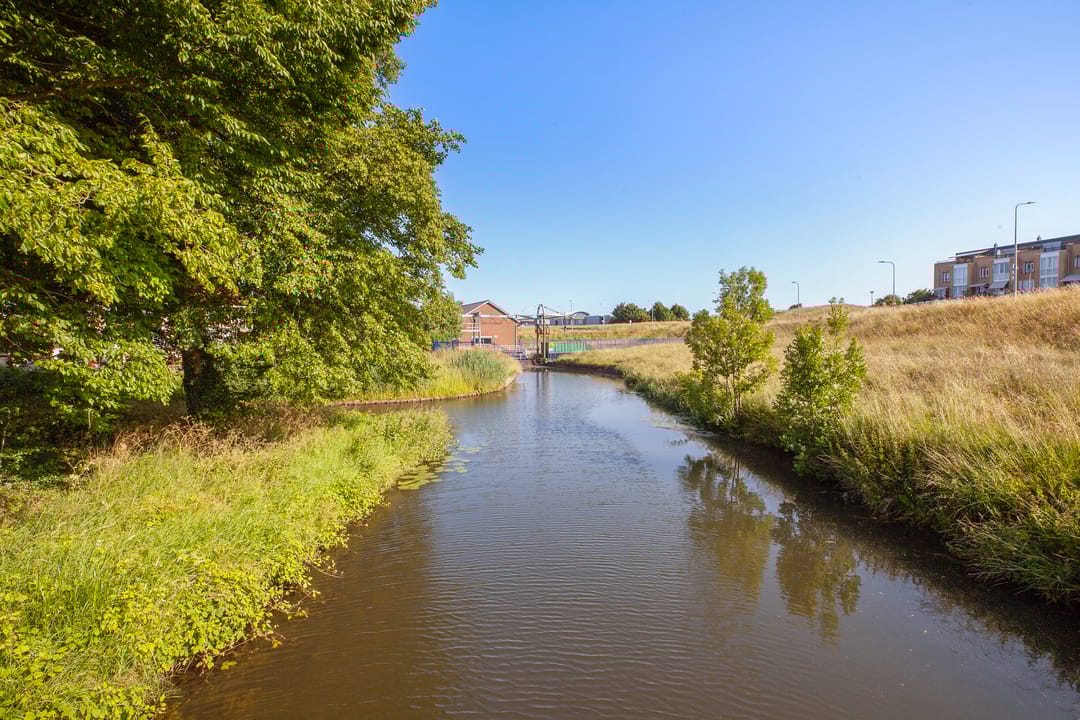 Foto 38 van Transvaalstraat 10