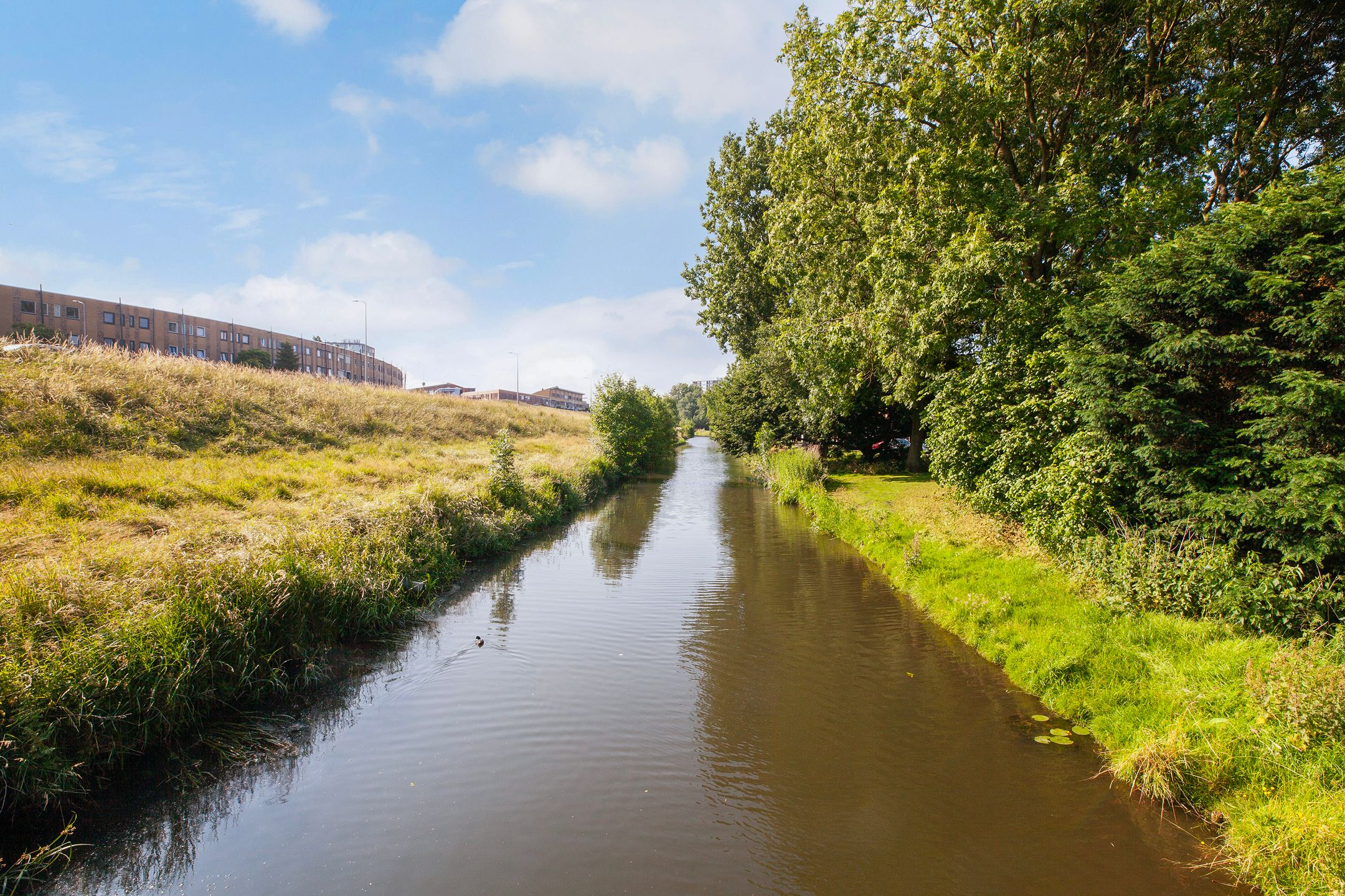 Foto 39 van Transvaalstraat 10