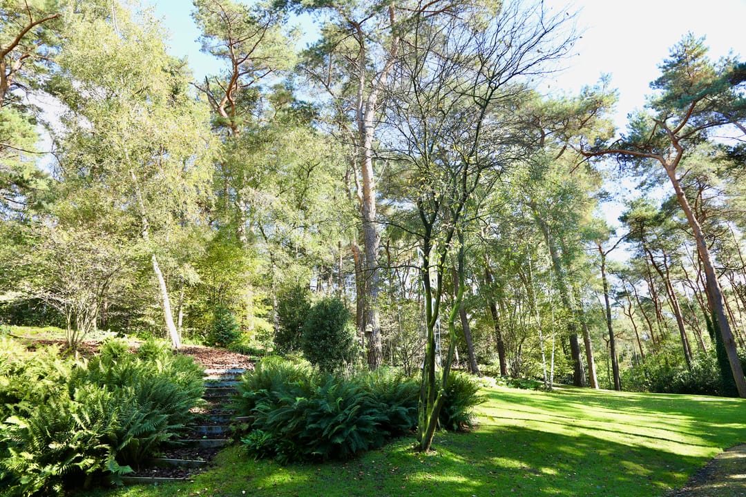 Foto 7 van Baarnseweg 50-B