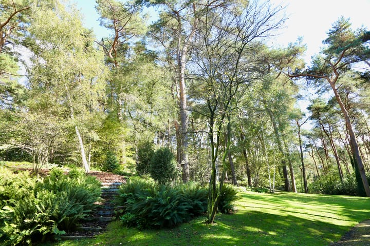 Photo 7 of Baarnseweg 50-B