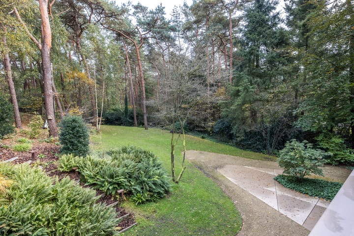 Photo 41 of Baarnseweg 50-B