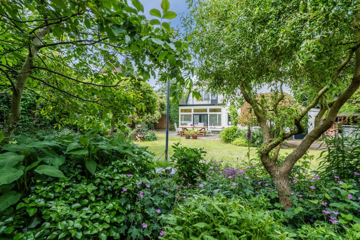 Foto 69 van van Straelenlaan 25