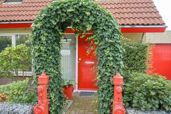 Foto 4 van Witmoeren 5