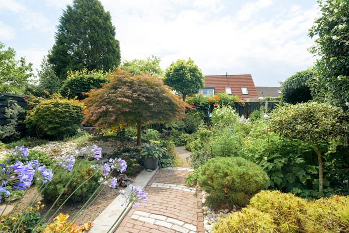 Foto 30 van Witmoeren 5