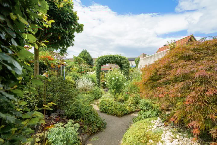 Foto 37 van Witmoeren 5