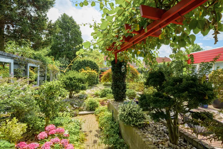 Foto 41 van Witmoeren 5