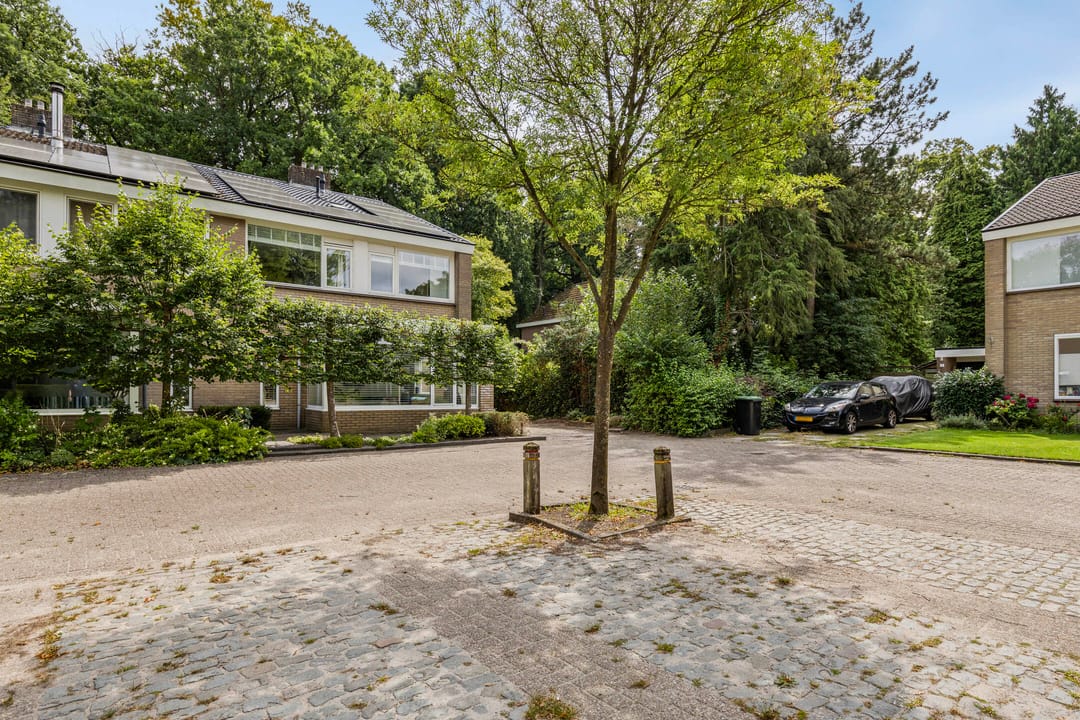 Foto 7 van Spielehorst 6