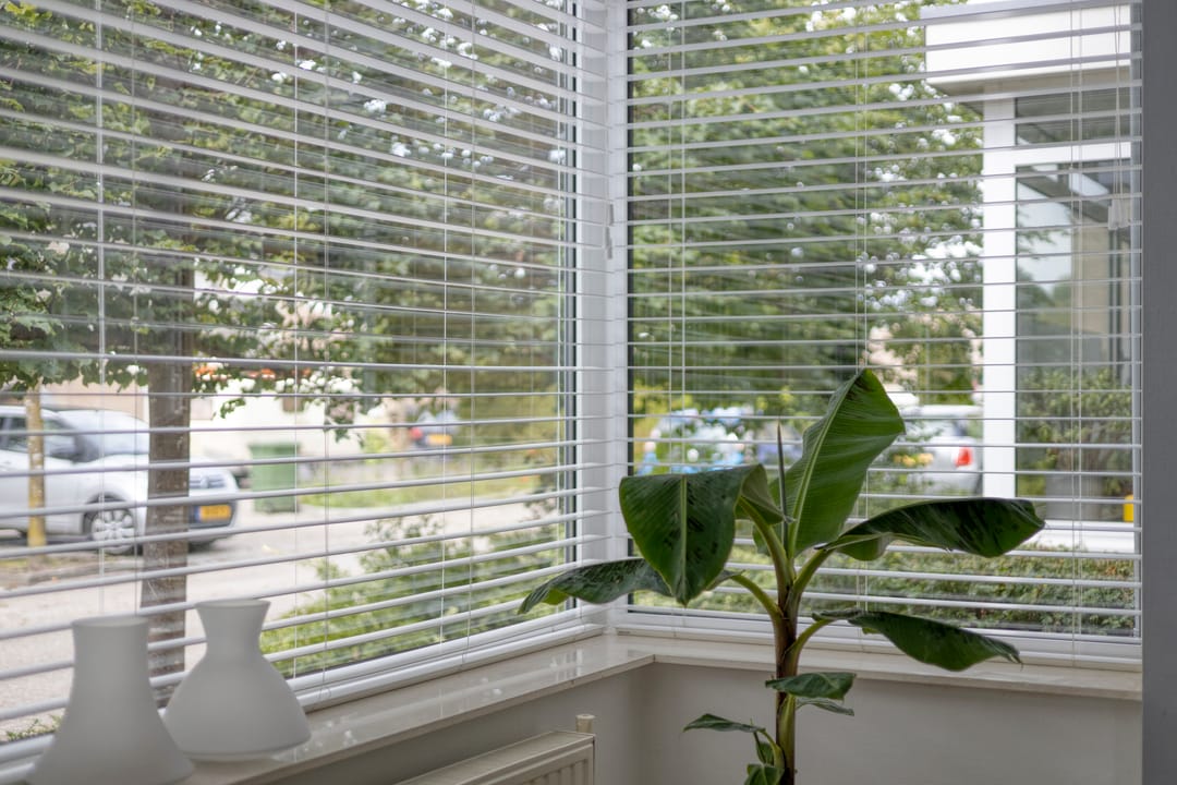 Foto 16 van Spielehorst 6