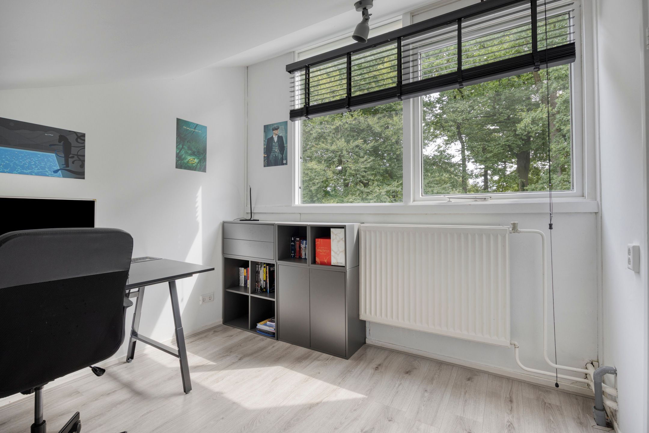 Foto 36 van Spielehorst 6