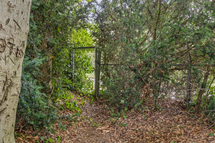 Foto 44 van Spielehorst 6