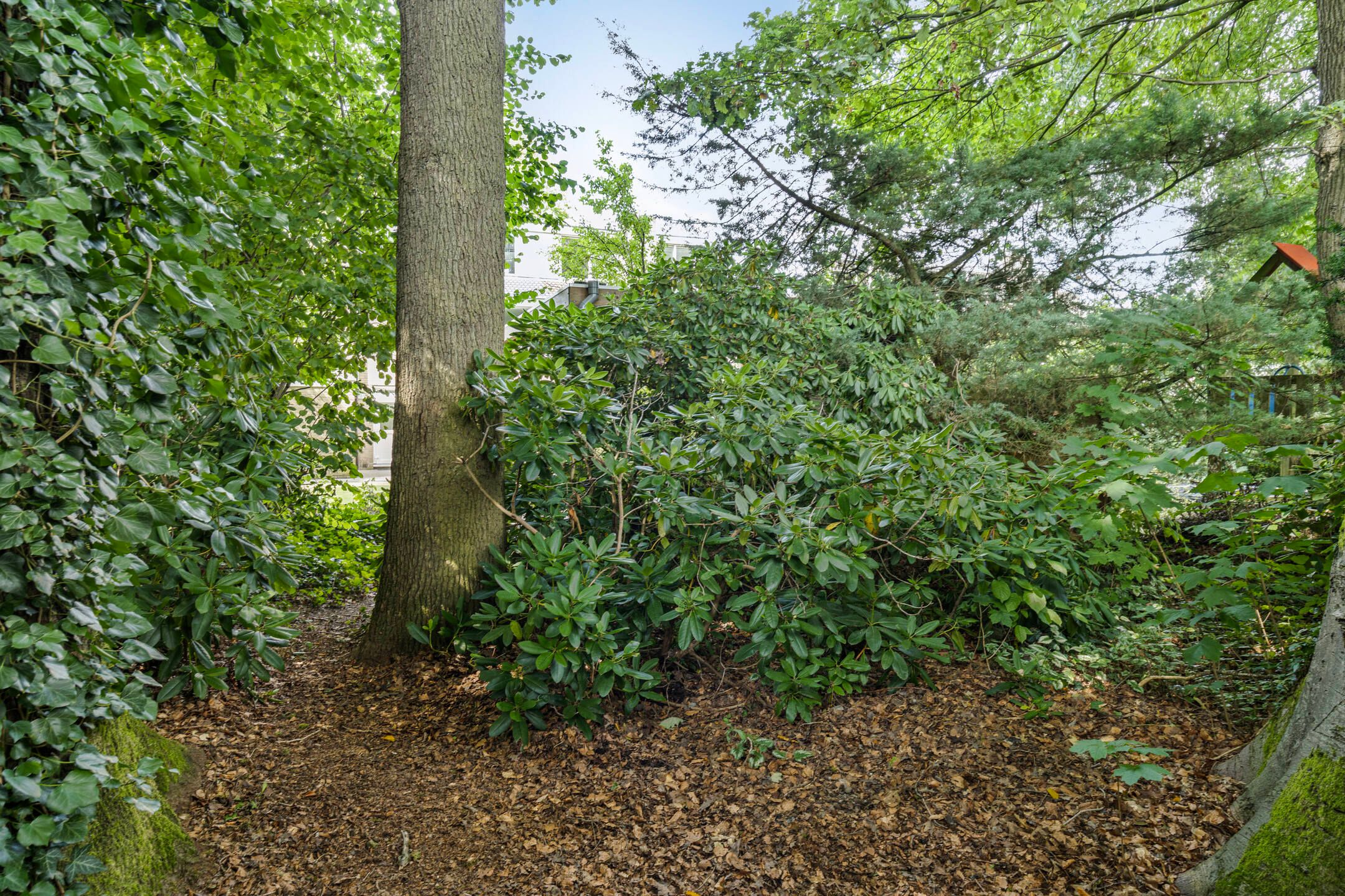 Foto 45 van Spielehorst 6