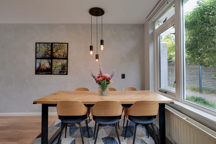 Foto 12 van Van Swietenstraat 9