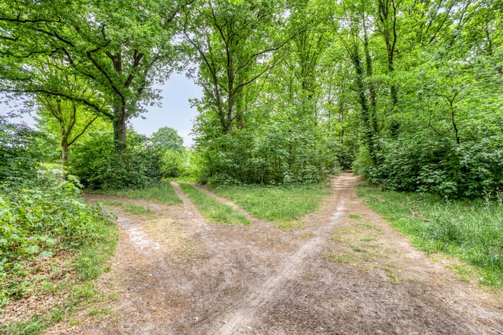 Photo 3 of Koningin Wilhelminalaan 57