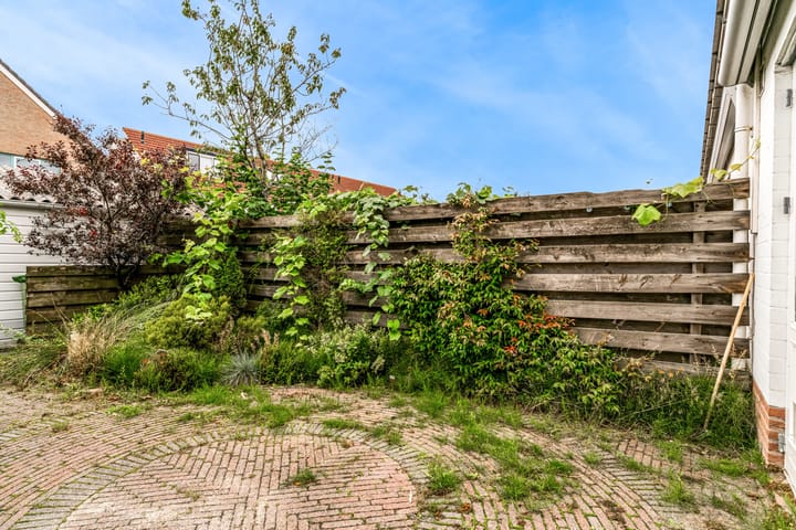 Foto 26 van Robert Stolzhof 285