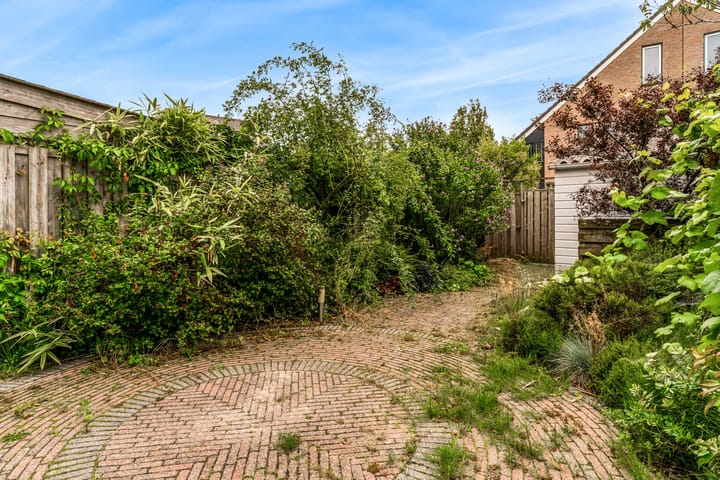 Foto 27 van Robert Stolzhof 285