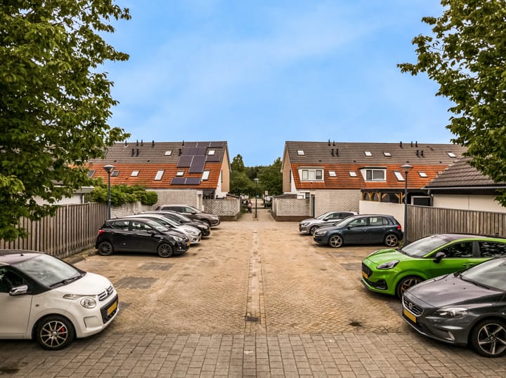 Foto 34 van Robert Stolzhof 285