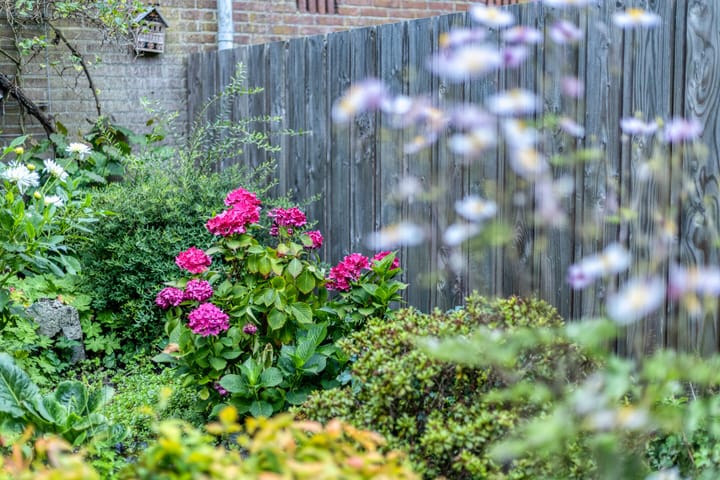 Foto 28 van Weegbree 52