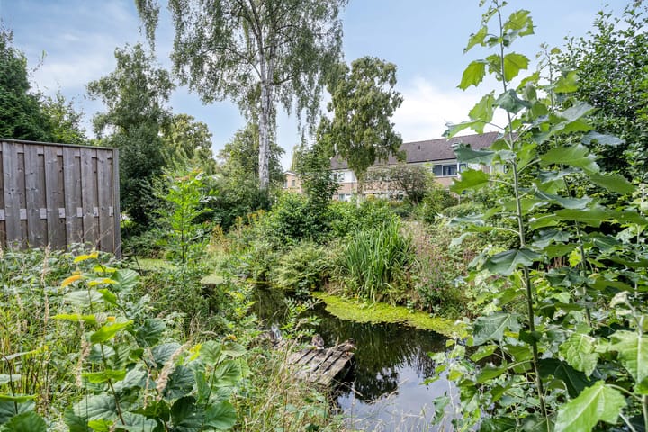 Foto 35 van Weegbree 52