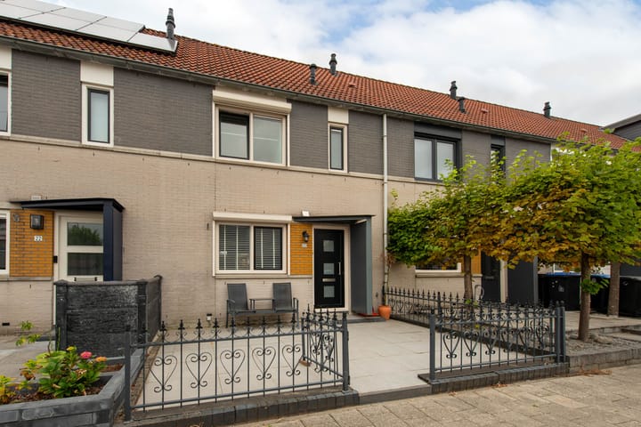 Foto 1 van Grauwe Gans 20