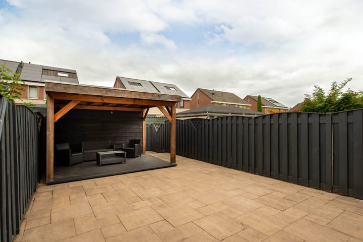 Foto 2 van Grauwe Gans 20