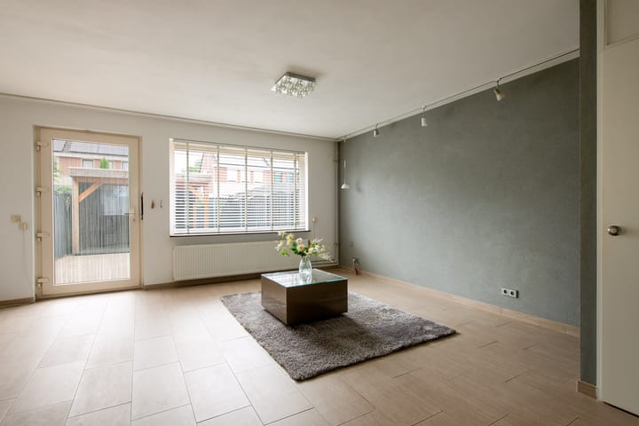 Foto 7 van Grauwe Gans 20