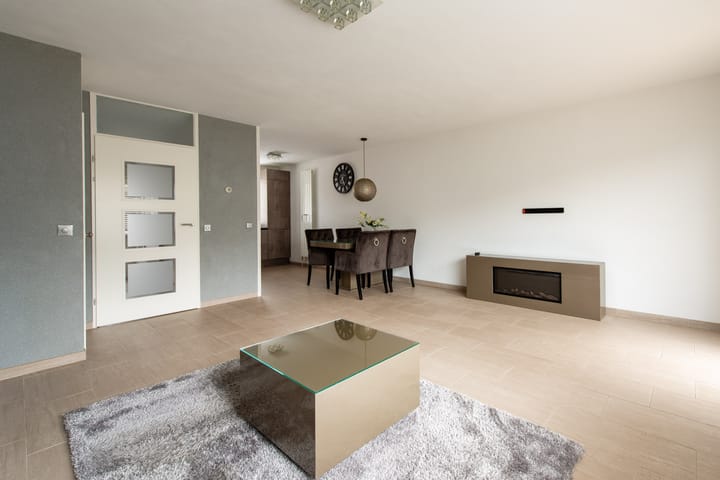 Foto 8 van Grauwe Gans 20