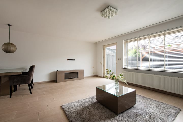 Foto 9 van Grauwe Gans 20