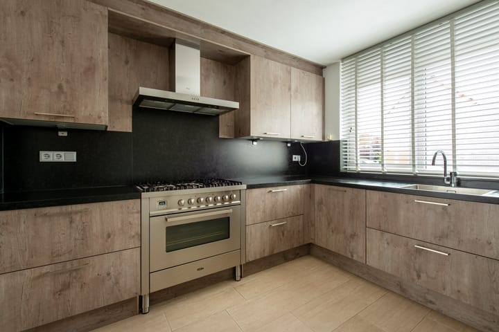 Foto 4 van Grauwe Gans 20