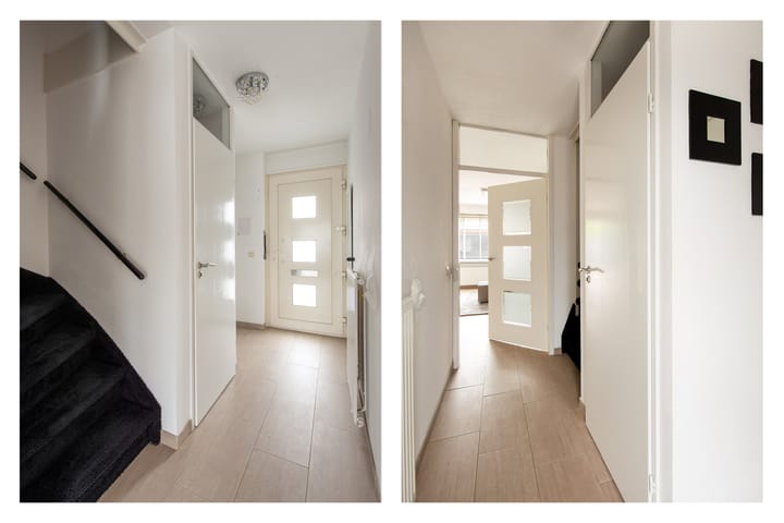 Foto 16 van Grauwe Gans 20