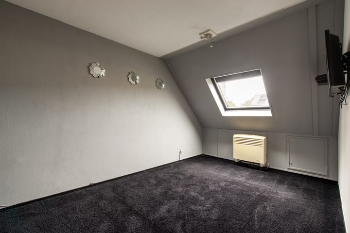 Foto 18 van Grauwe Gans 20