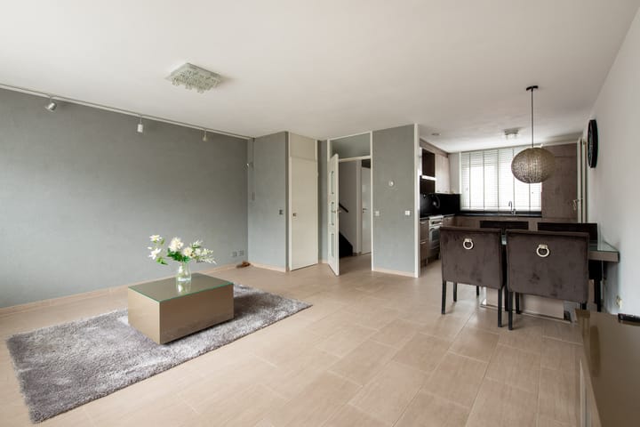 Foto 10 van Grauwe Gans 20