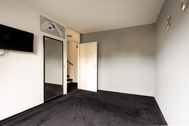 Foto 19 van Grauwe Gans 20